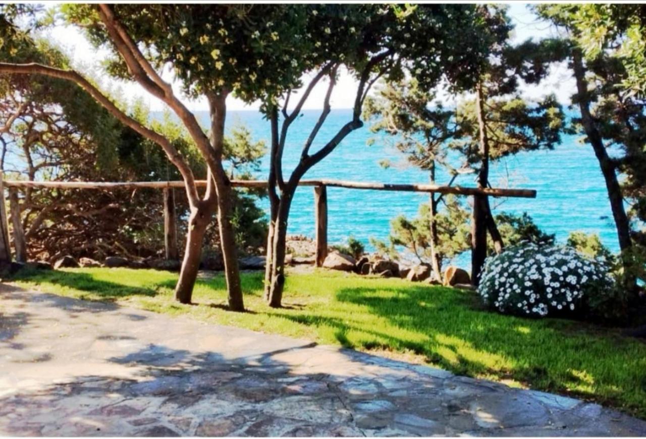 Villa Vera Trifamigliare Con Ingresso Diretto 20 Mt Al Mare Clima Wi-Fi Bbq Cala Liberotto Exterior foto
